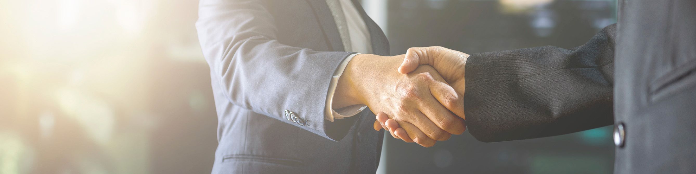 Zwei Männer im Anzug geben sich die Hand.