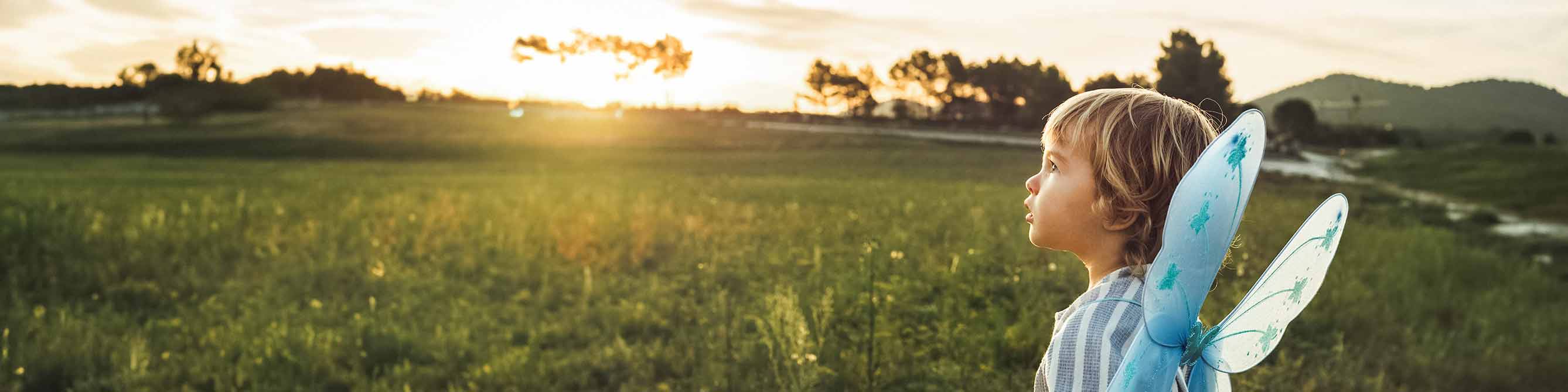 Ein kleines Mädchen mit Schmetterlingsflügeln steht auf einer Wiese und schaut in den Sonnenuntergang